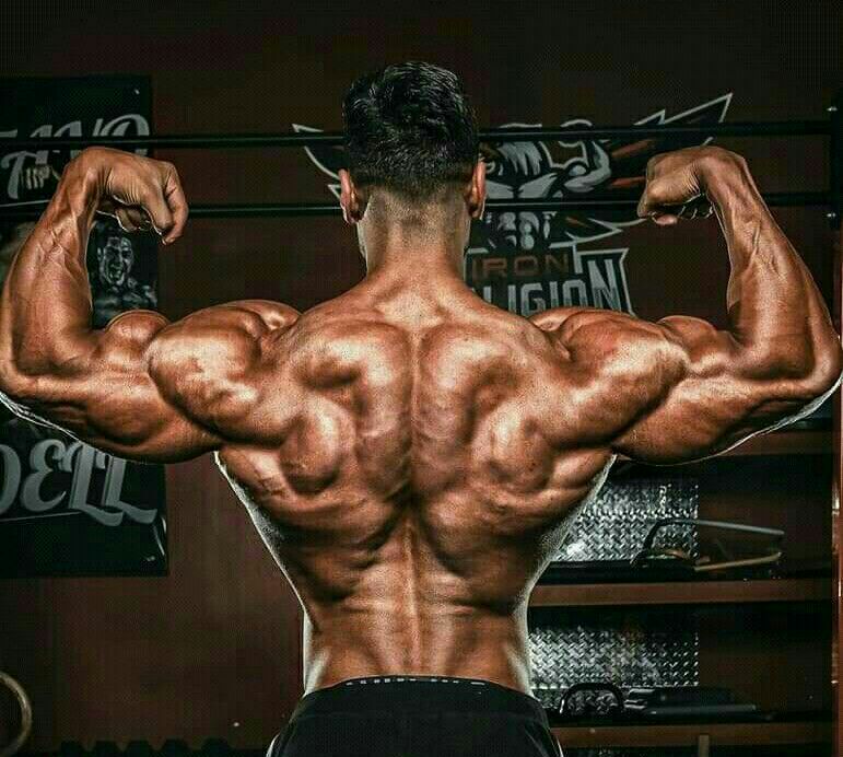 oxandrolona-premium-force-envio-para-todo-brasil oxandrolona-premium-force-envio-para-todo-brasil